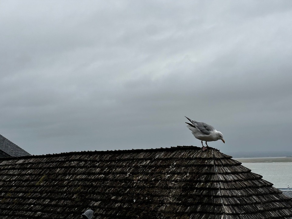 Frankreich - Le Mont-Saint-Michel - 
