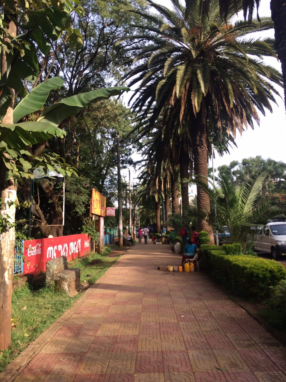 Äthiopien - Bahir Dar - Bahir Dar (eine Stadt von ca. 250.000 Einwohnern) ist so etwas wie die Riviera Äthiopiens - eine völlig andere Atmosphäre als bisher und auf nur 1800m Höhe endlich auch schön warm 