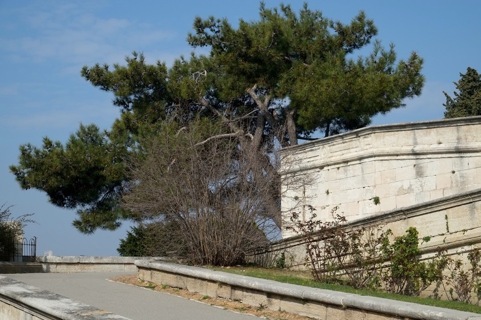 Frankreich - Avignon - 