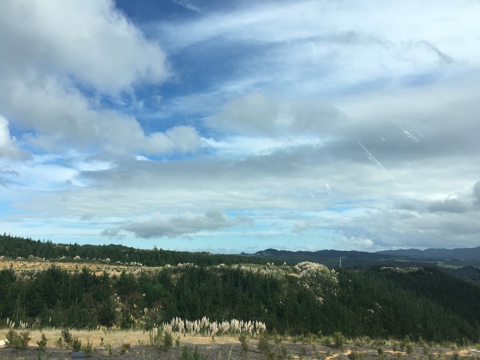 Neuseeland - Mangonui - 