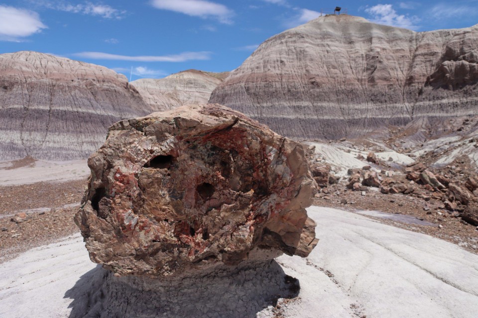 USA - Gallup - Petrified Forest NP