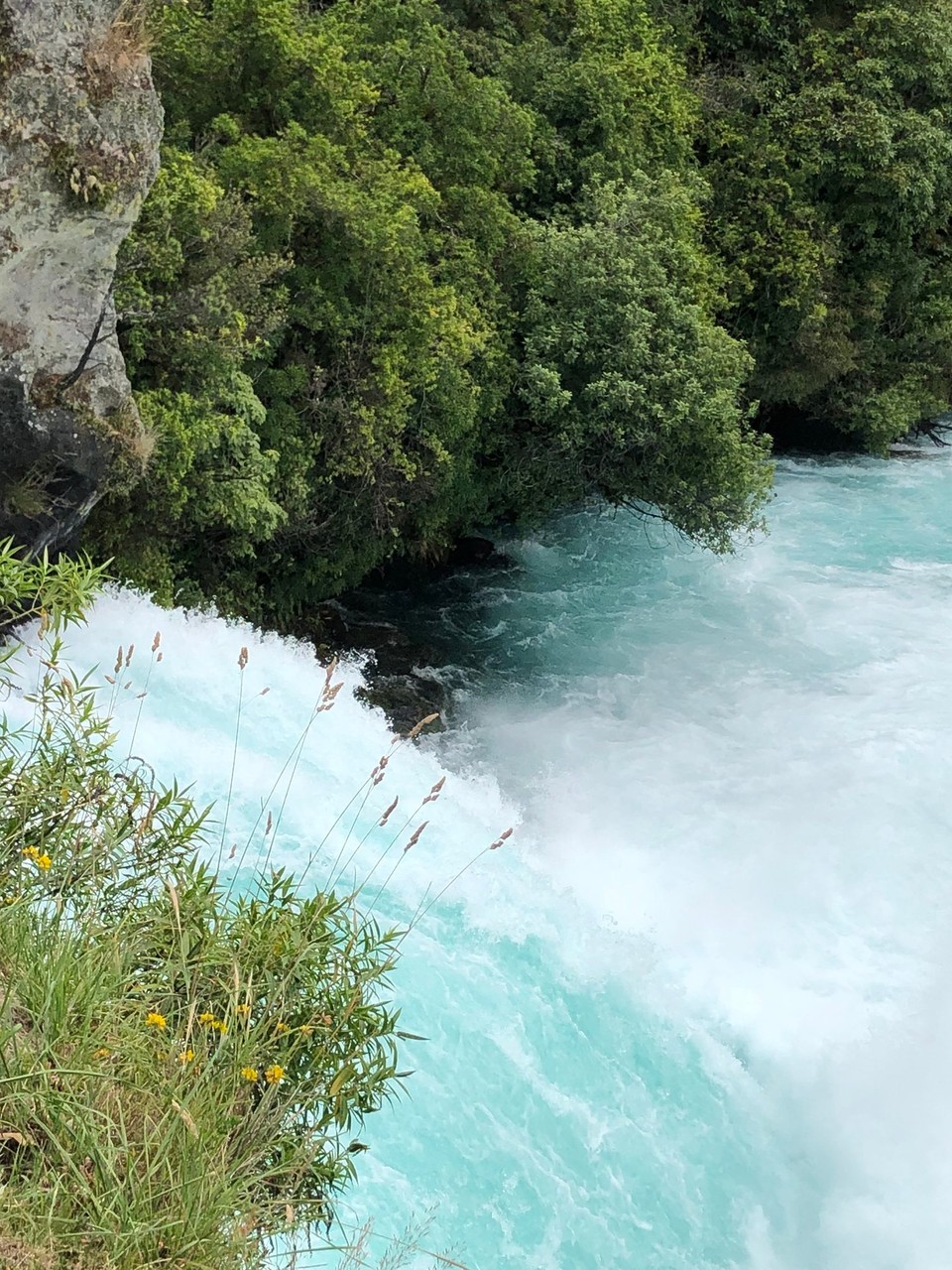 Neuseeland - Motutere - 