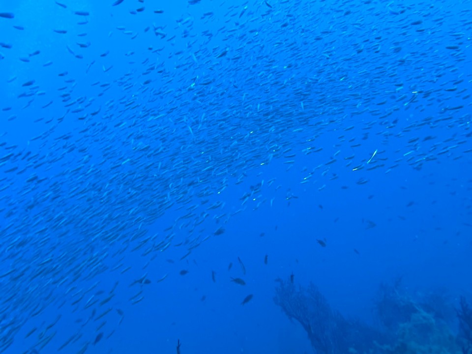 Italien - Porto Azzurro - 