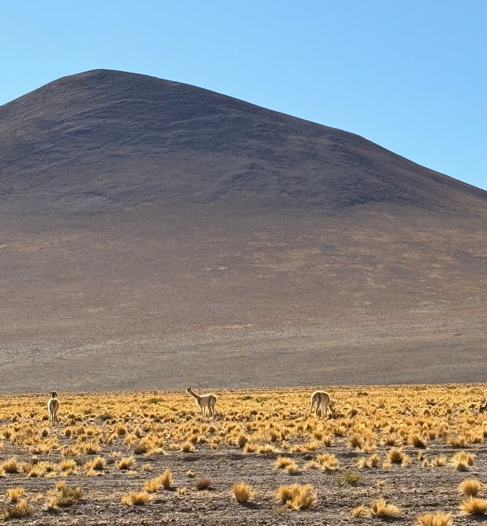 Chile - San Pedro de Atacama - 