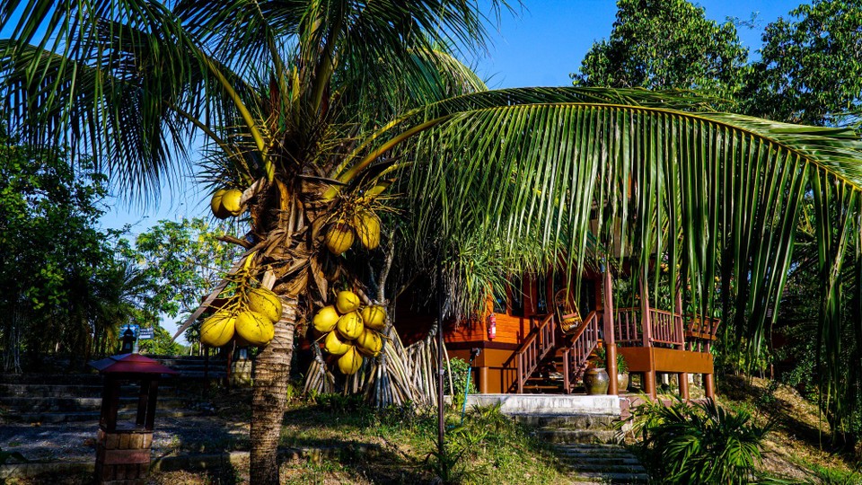 Thailand - Khao Lak - Noch ein paar Eindrücke aus unserem Resort