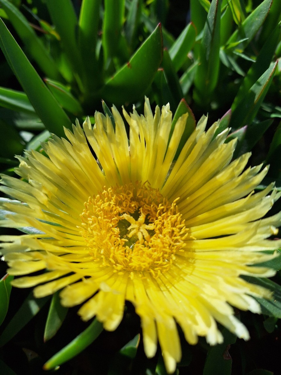 Neuseeland - Greymouth - 