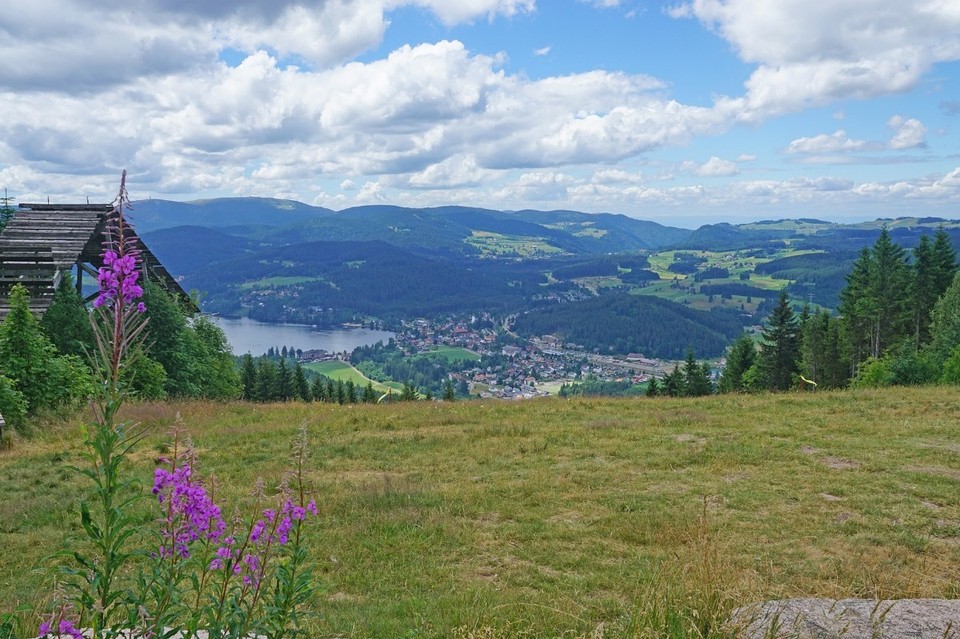 Deutschland - Titisee-Neustadt - Blick auf den Titisee von oben