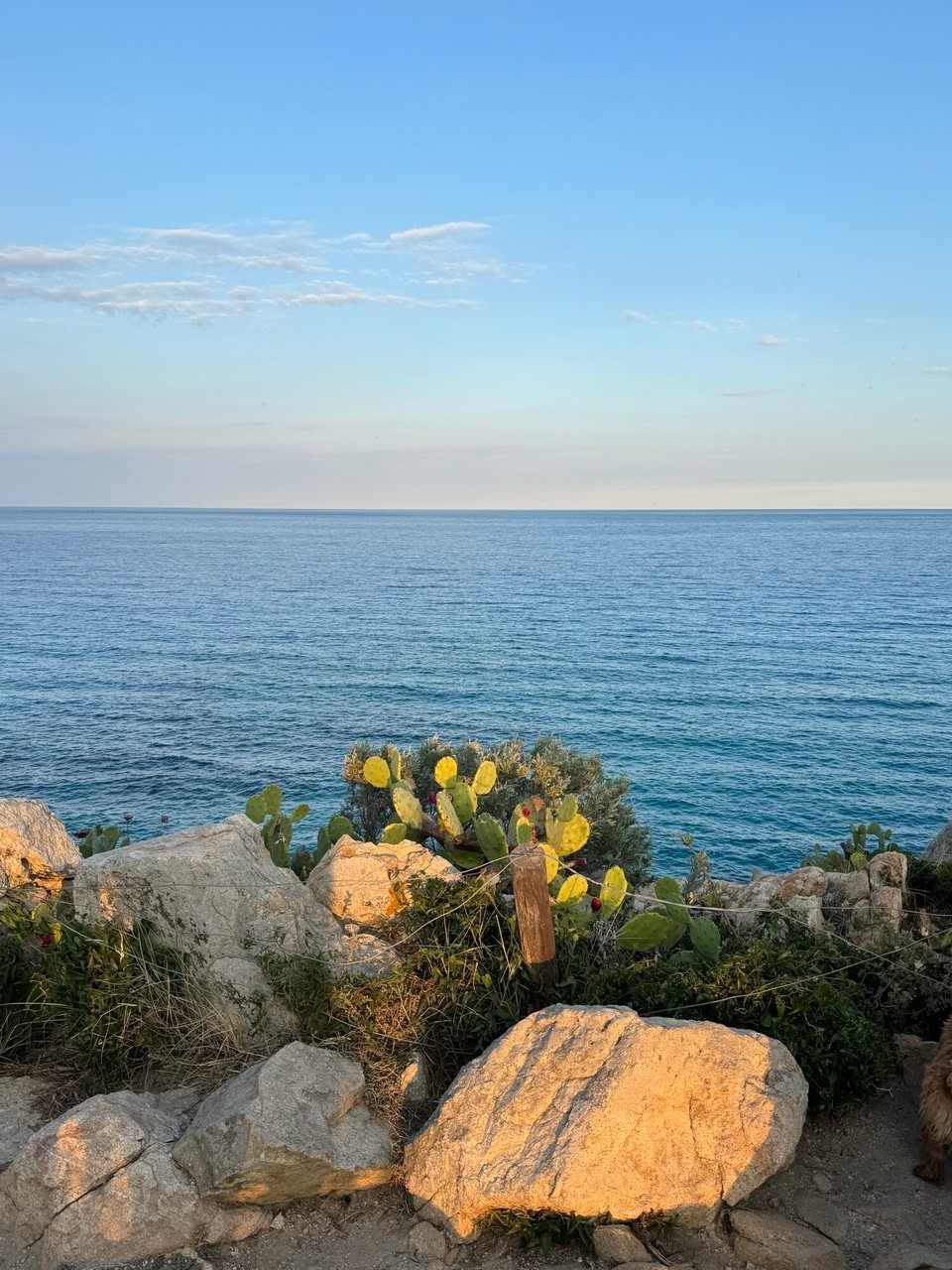 Frankreich - Ramatuelle - 