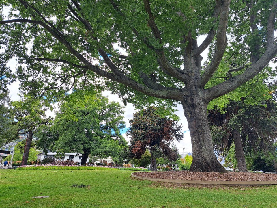 Neuseeland - Queenstown - 