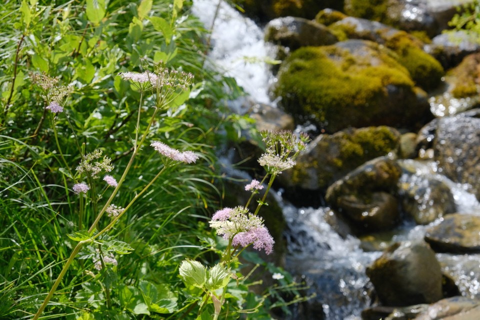 Frankreich - Saint-Sorlin-d'Arves - 