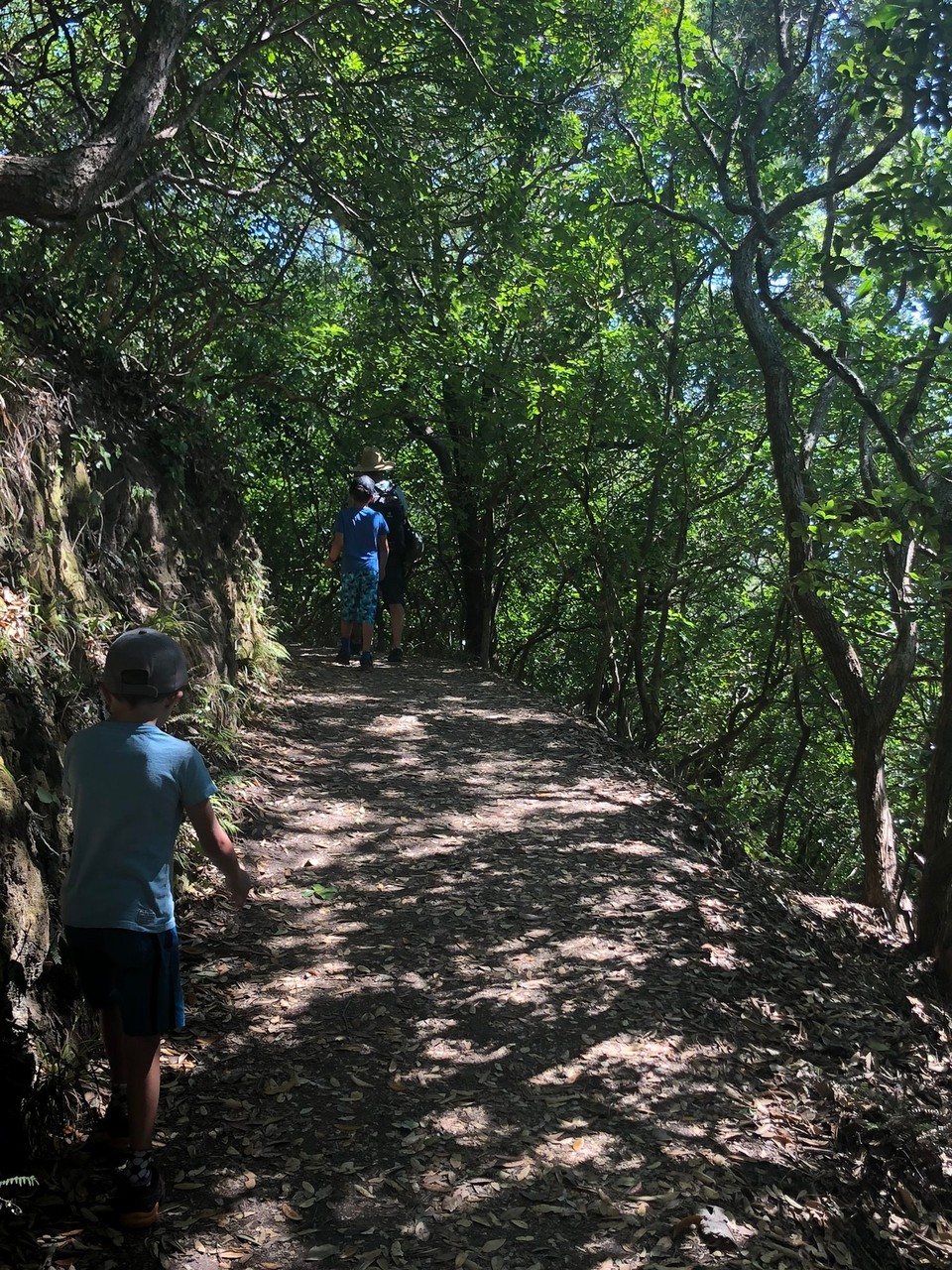 Neuseeland - Waihi Beach - Schön schattig. 