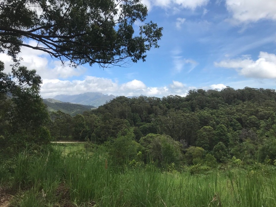 Australien - Fingal Head - Jerusalem Nationalpark 