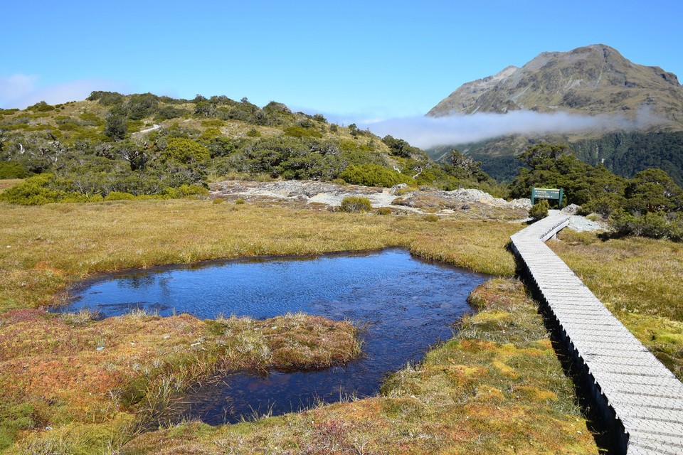 Neuseeland - Milford Sound - 