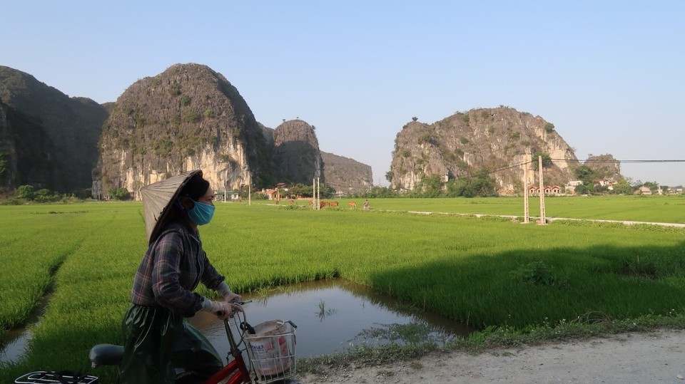 Vietnam - Ninh Bình - Weite Felder..