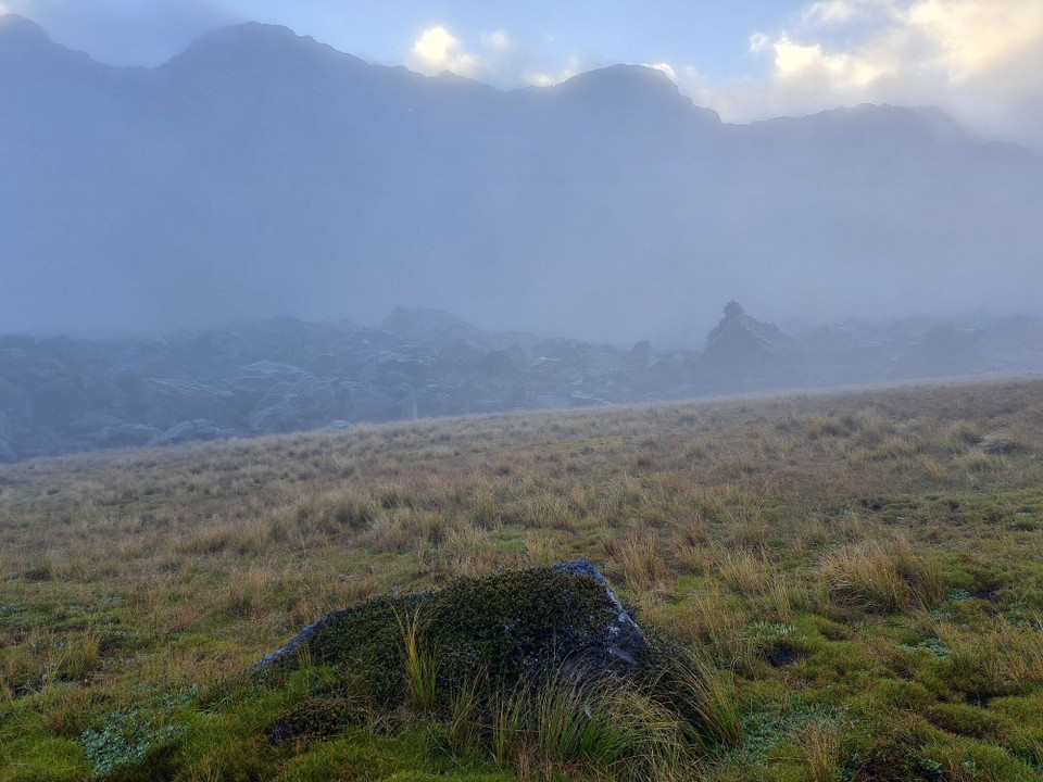 Neuseeland - Waiau - 