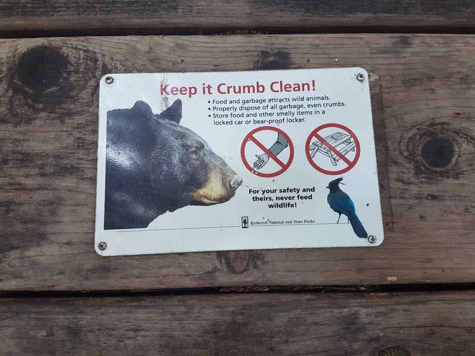 USA - Crescent City - 