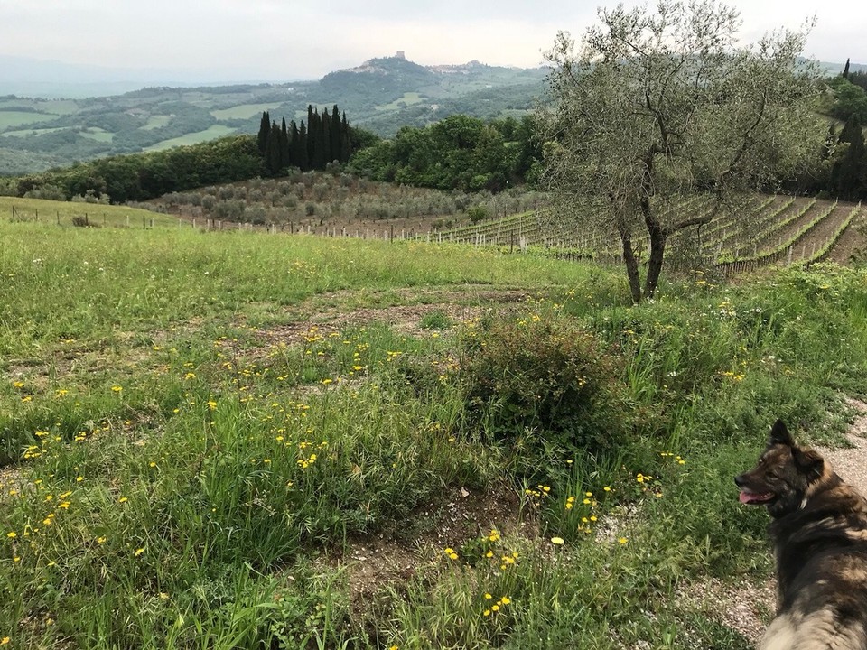 Italien - Bagno Vignoni - 