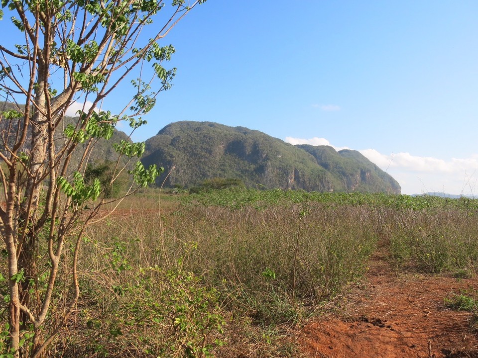 - Cuba, Viñales - 