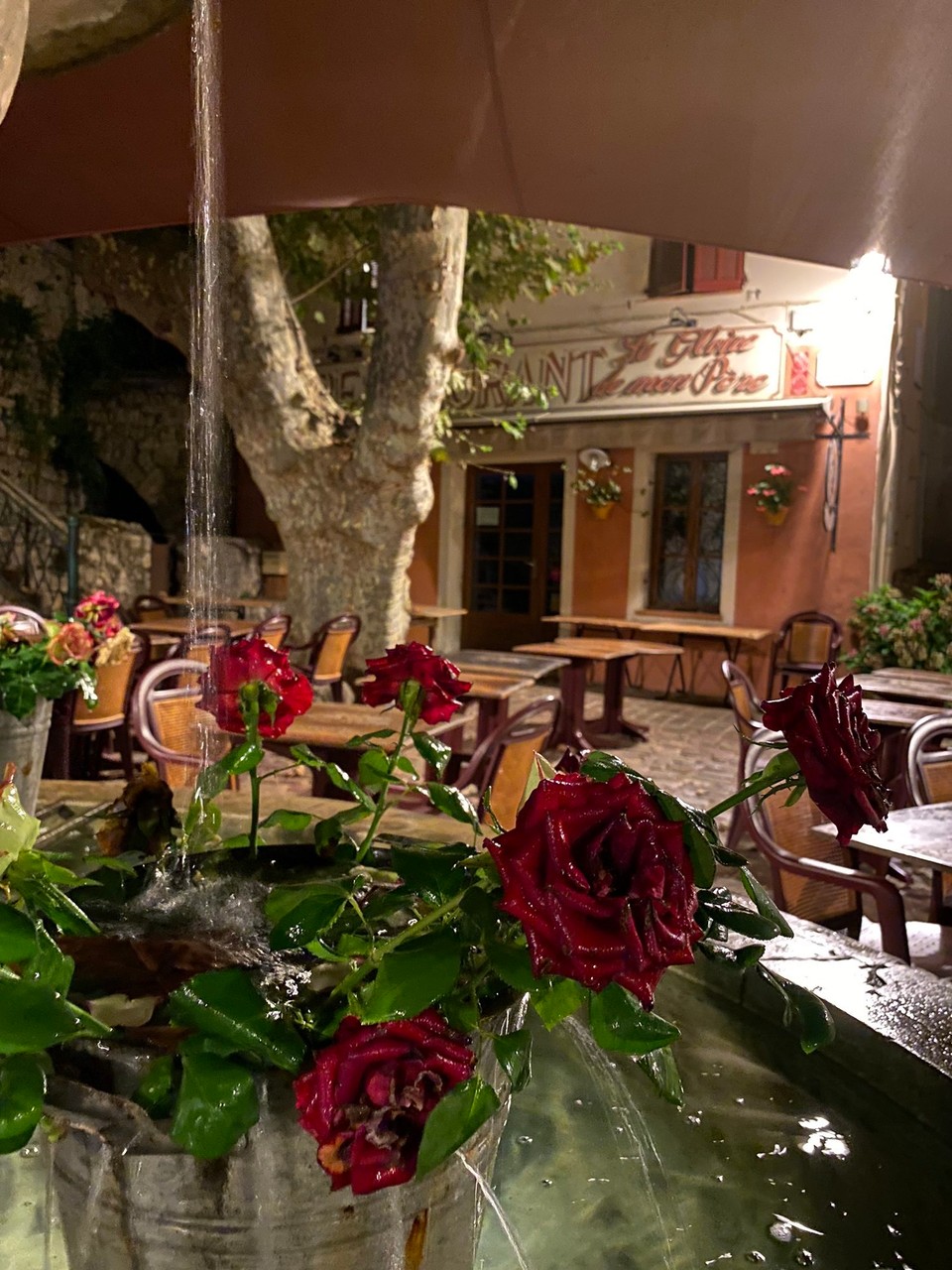 Frankreich - Seillans - 