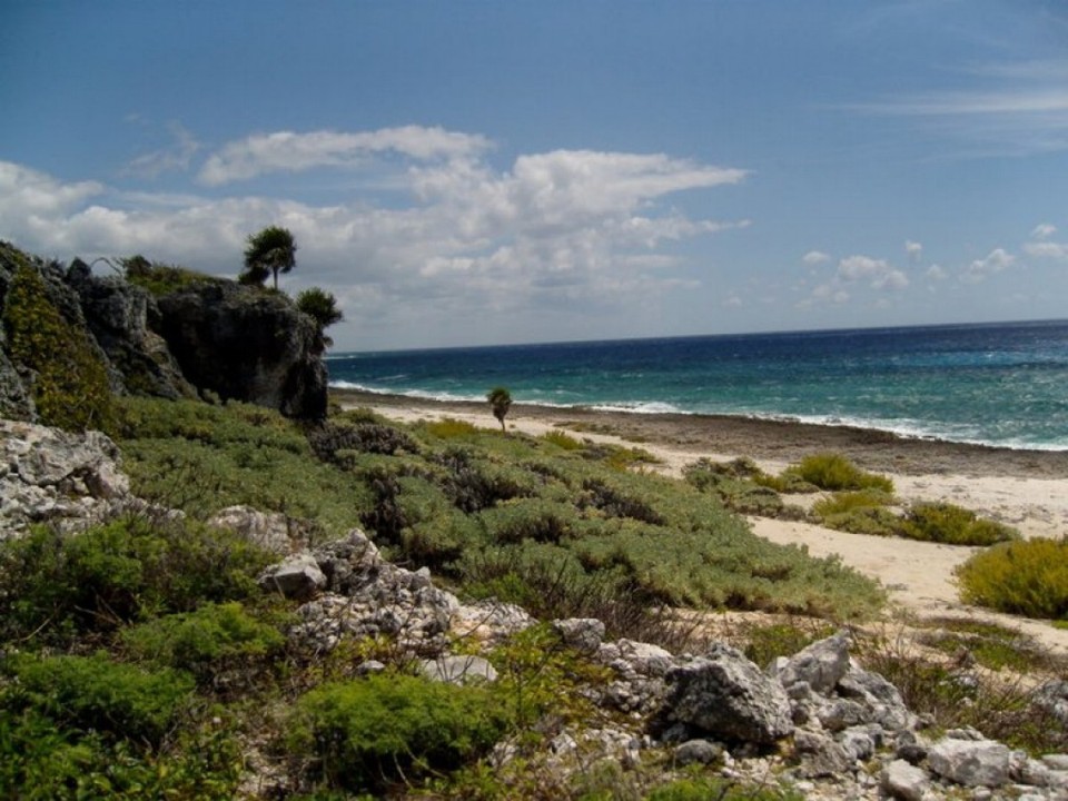 Kuba - Cabo de San Antonio - Auf dem Weg zum Cabo de San Antonio.