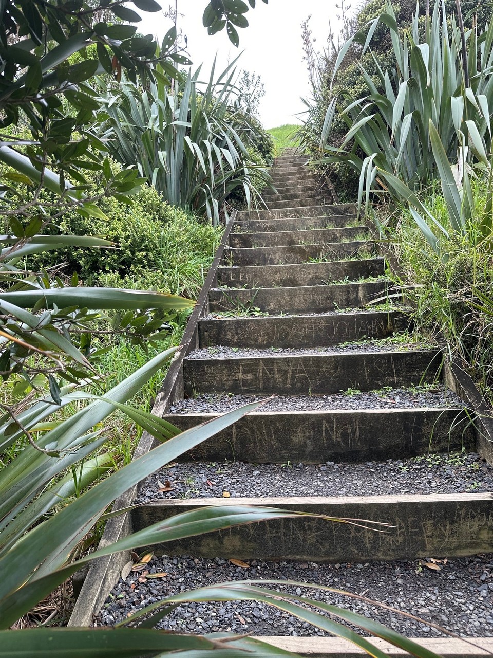 Neuseeland - Mangawhai - 