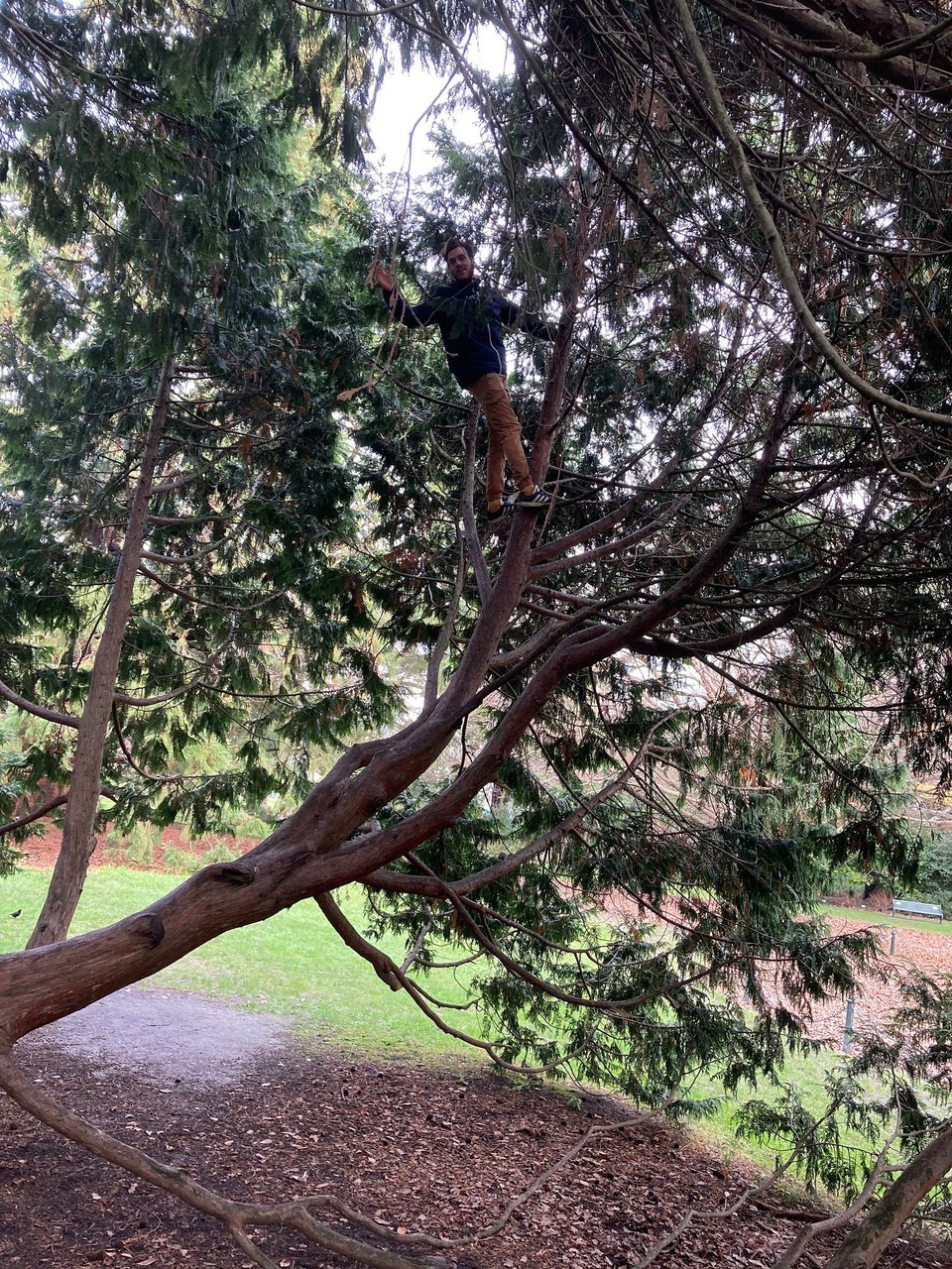 Neuseeland - Christchurch - 