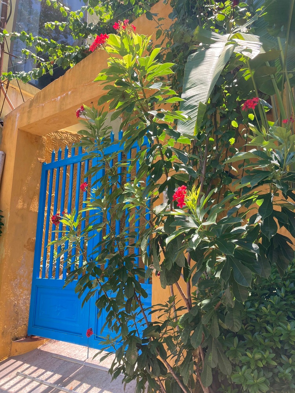 Vietnam - Hội An - 