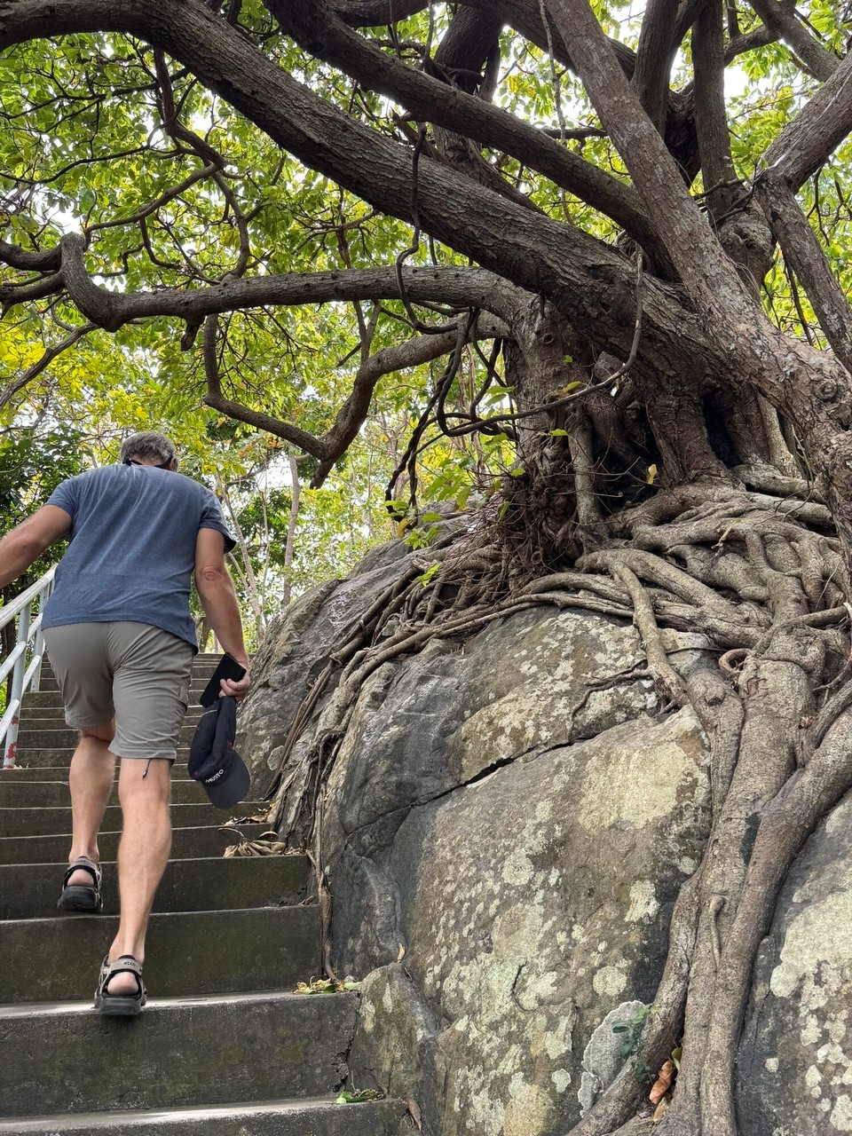 Vietnam - Con Dao - Climbing to the Phi Yen / An Son pagoda 