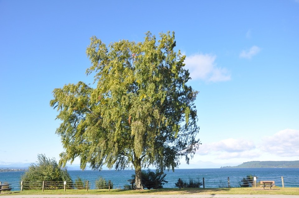 Neuseeland - Papamoa - Langsam hält der Herbst Einzug