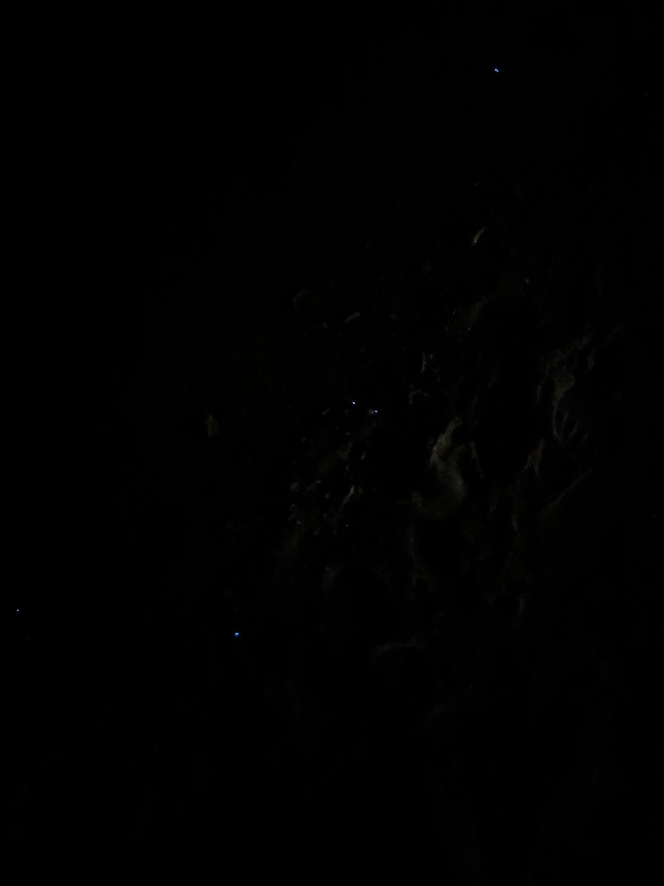 Thailand - Mueang Satun - Met Anna at the beach and they’re all doing mushrooms haah but see more bioluminescent plankton!! The Tony little dots. So so cool. 