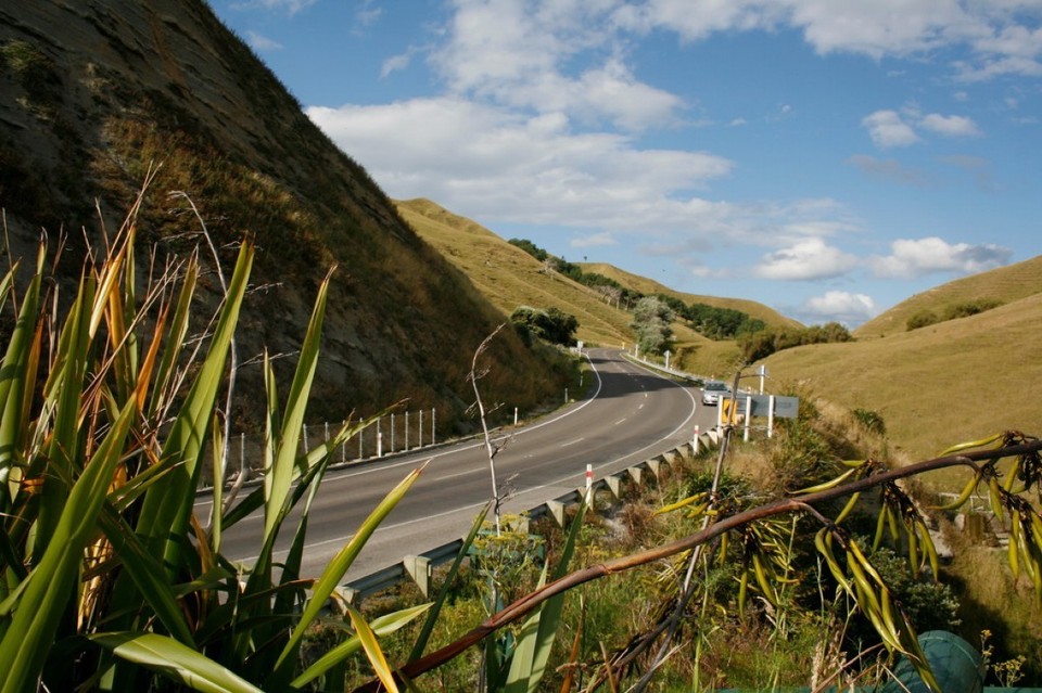 Neuseeland - Tolaga Bay - 