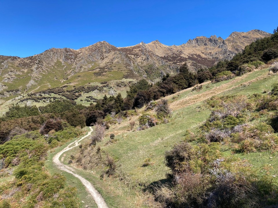 Neuseeland - Wanaka - 