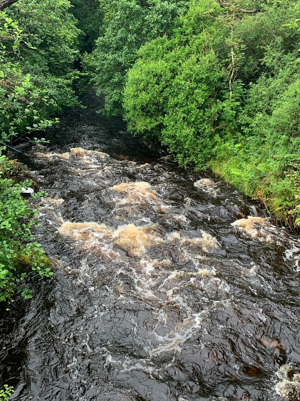 Vereinigtes Königreich - Acharacle - Ds Flüssli näbem Hüsli, mit däm bruune, torfhautige Wasser. 