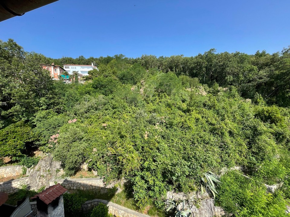 Kroatien - Mošenička Draga - Die Villa war von einem Wald umgeben in dem es immer grillte und zirpte