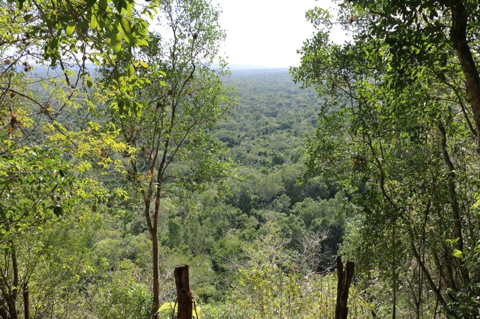 Guatemala - El Zotz - Auf ein Foto kann man diese Aussicht leider gar nicht bringen! 