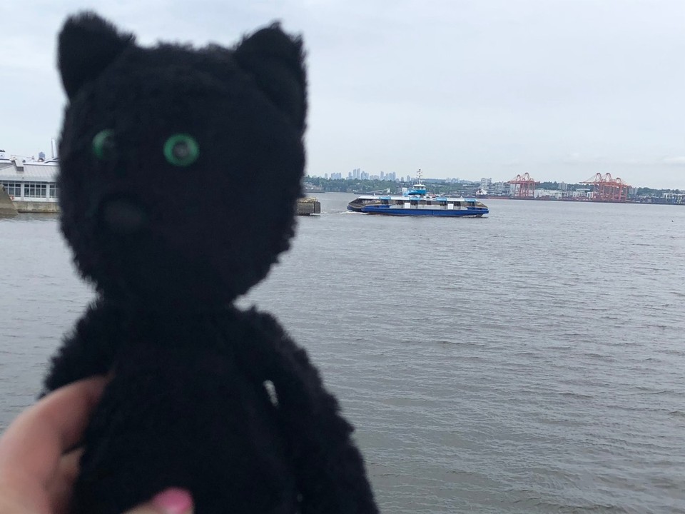 Canada - Vancouver - Travis and the Vancouver Seabus!