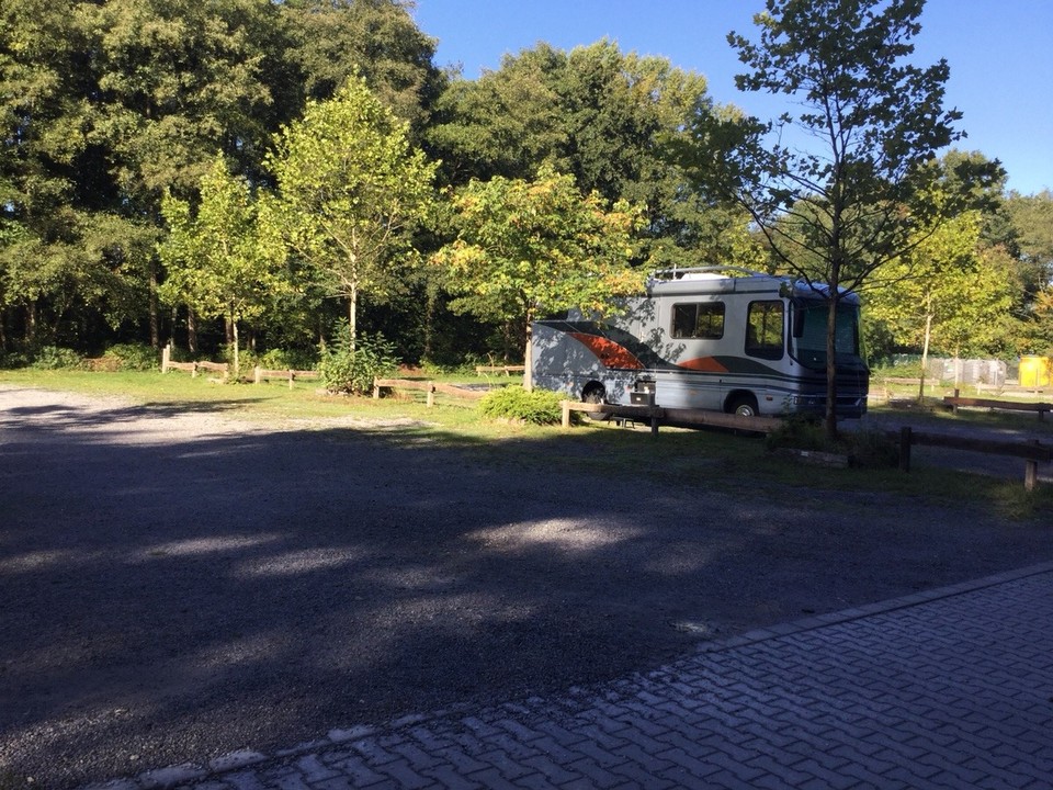 Deutschland - Schwerte - Balu in der Morgensonne