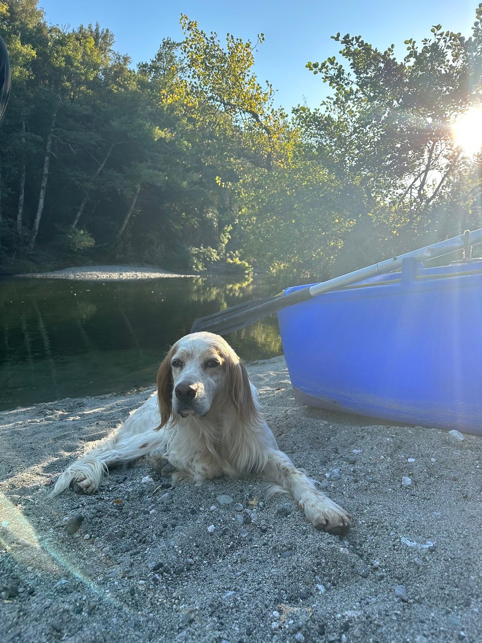 Frankreich - Altiani - 