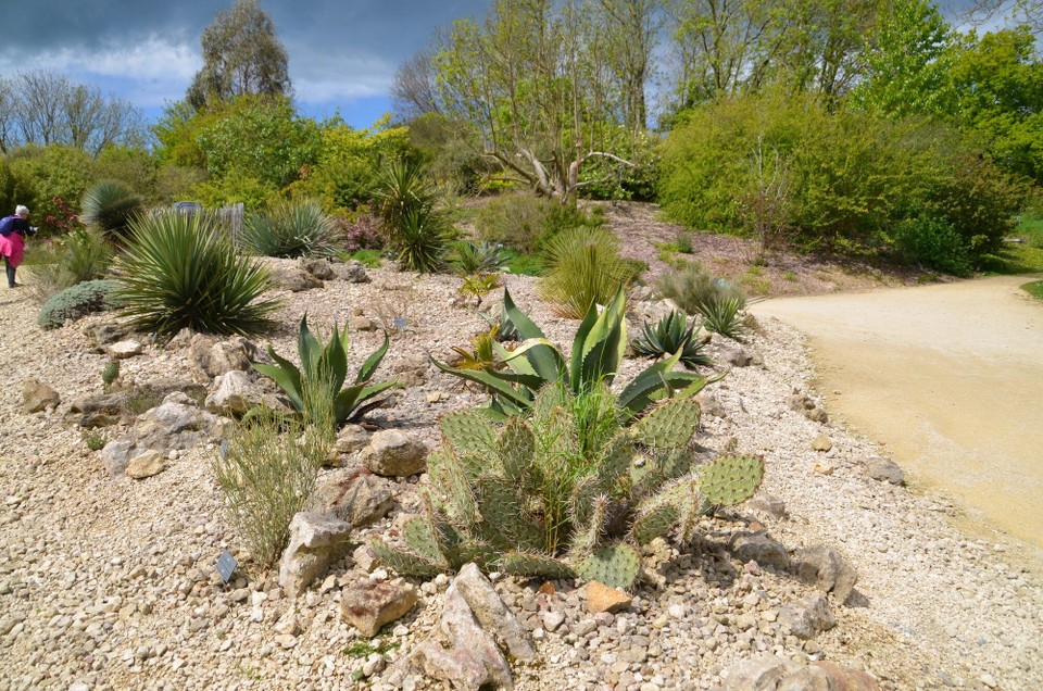 Frankreich - Le Havre - Jardins: Planzen am drëschene Buedem