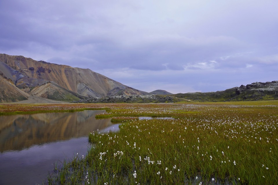 Island - Landmannalaugar - 