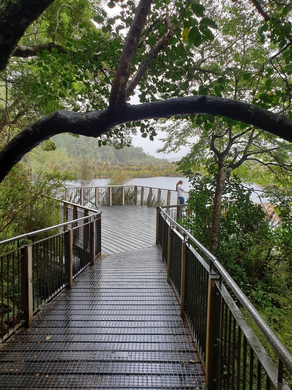 Neuseeland - Te Anau - 