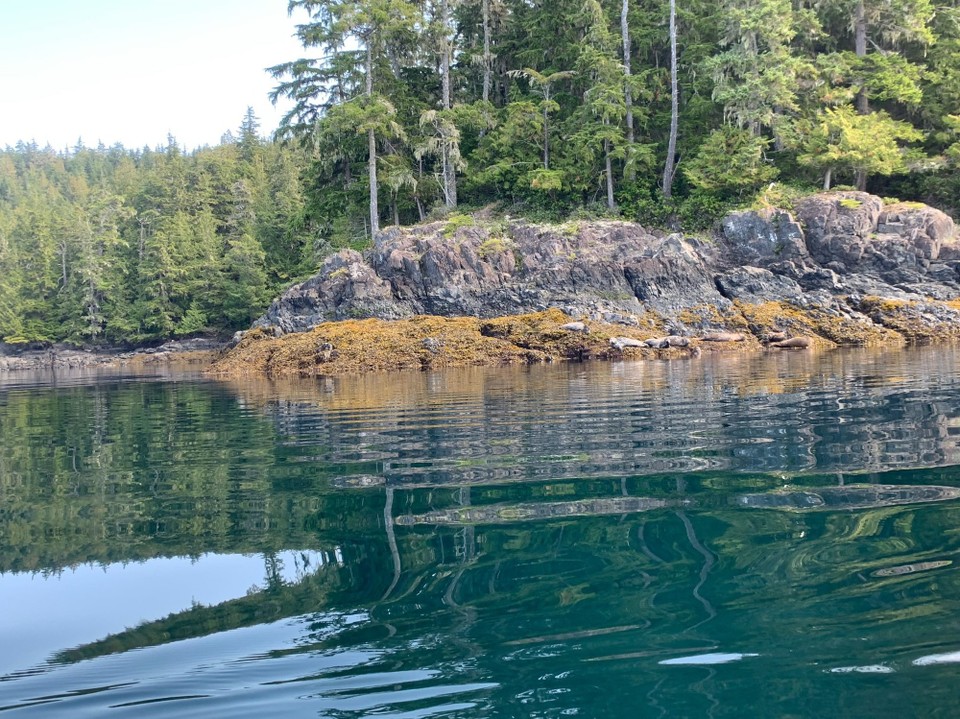 Kanada - Mount Waddington A - 