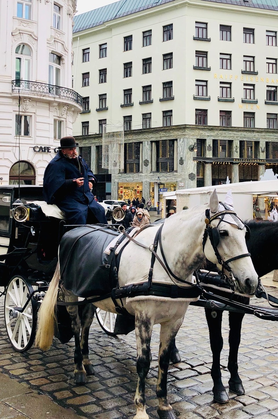 Österreich - Wien - Kutscher mit Fiaker