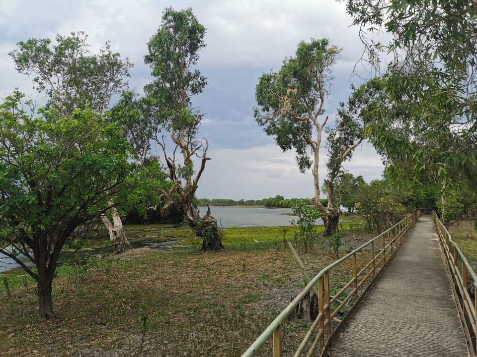 Australien - Kakadu - Yellow Waters