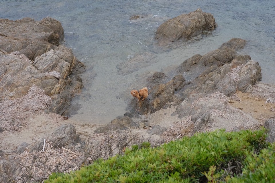 Frankreich - Saint-Tropez - 