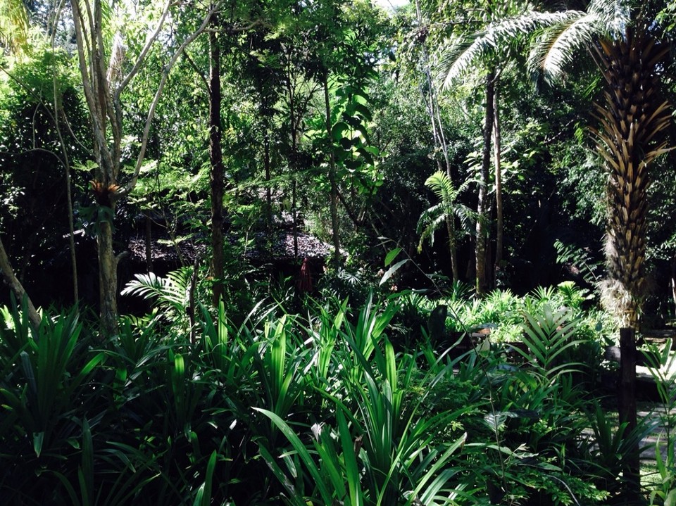Thailand - Mae Hong Son - Fern Resort 