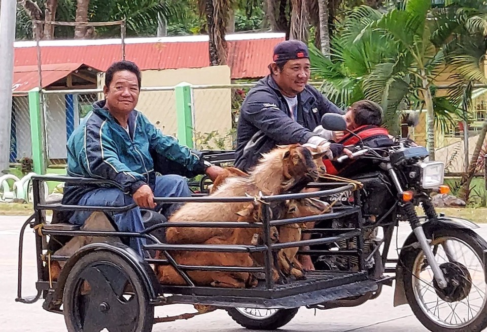 Philippines - Puerto Princesa - 
