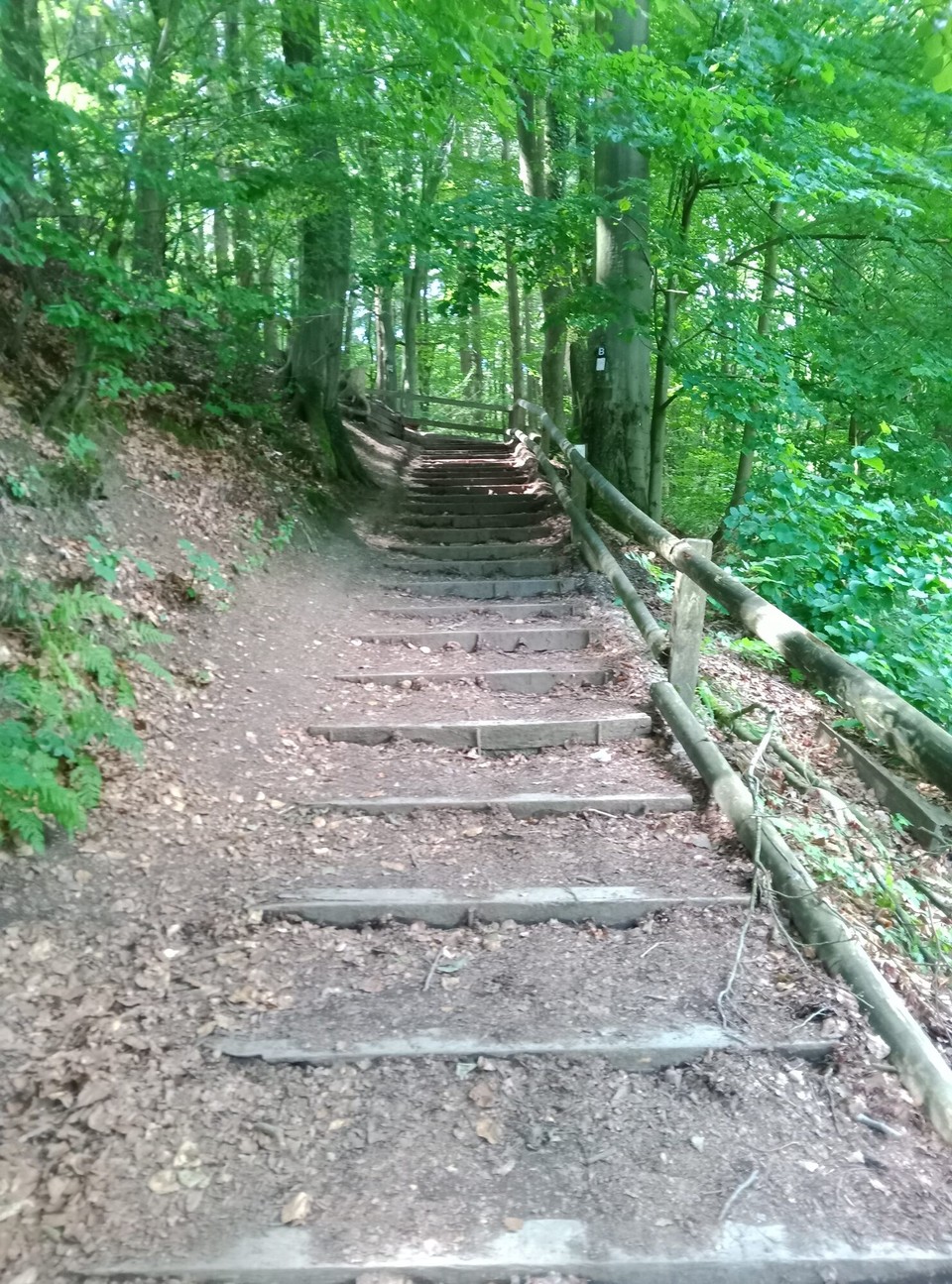 Deutschland - Horn-Bad Meinberg - ... zwischen den Steinen durch. Treppe hoch...wir sind wieder auf dem Hermannsweg.