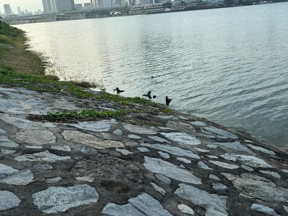 Singapur - Singapur - 
