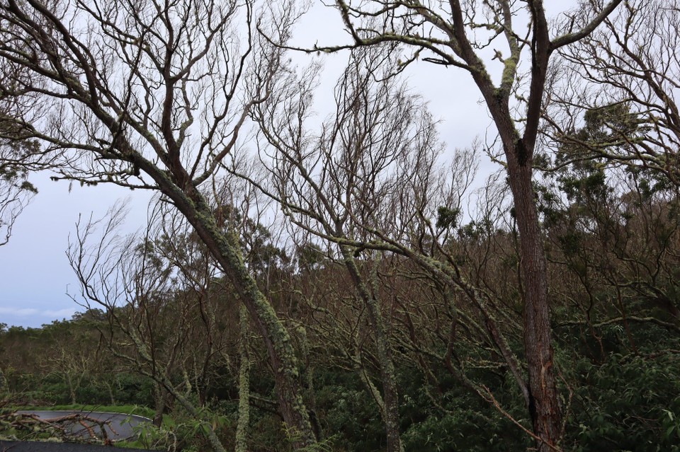 Réunion -  - 